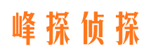 道真寻人公司